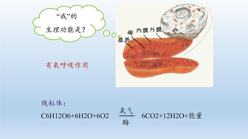 高中生物第一册 《第1节 降低化学反应活化能的酶》获奖说课课件第7页