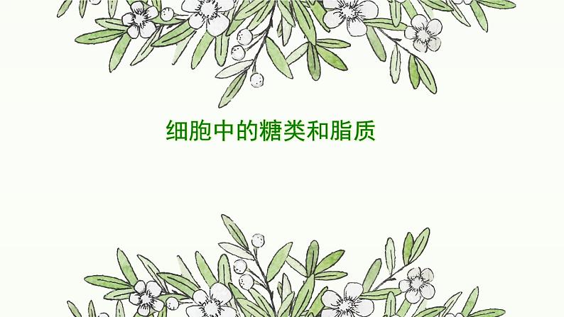 高中生物第一册 《第3节 细胞中的糖类和脂质》集体备课课件第1页