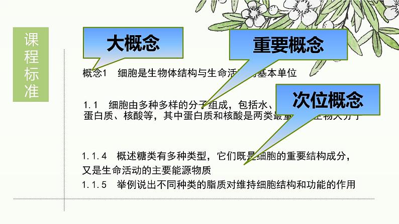 高中生物第一册 《第3节 细胞中的糖类和脂质》集体备课课件第2页