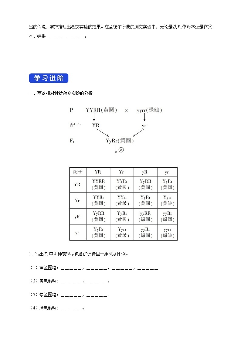 高中生物第二册 1 2 1 孟德尔的豌豆杂交实验（二） 导学案遗传与进化第2页
