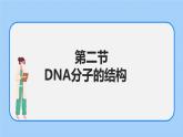 1.2 DNA分子的结构（第二节）课件+教案