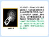 1.2 DNA分子的结构（第二节）课件+教案