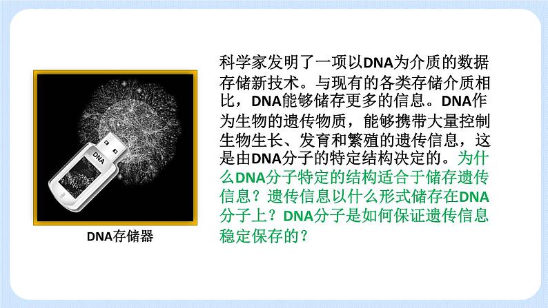 1.2 DNA分子的结构（第二节）课件+教案02