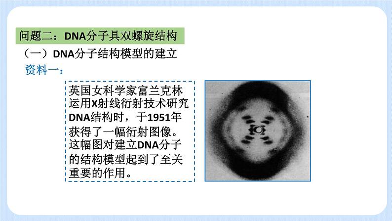 1.2 DNA分子的结构（第二节）课件+教案06