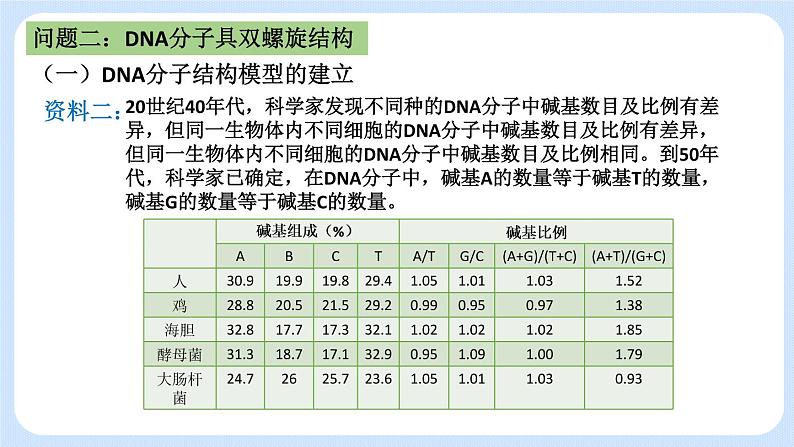 1.2 DNA分子的结构（第二节）课件+教案07