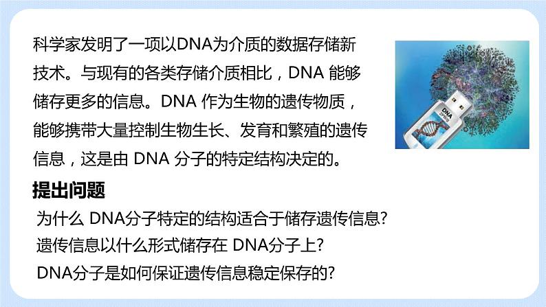 1.2 DNA的结构 课件+教案+素材04