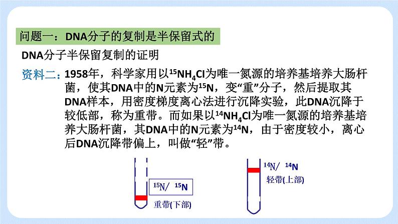 1.3 DNA分子的复制 课件+教案+素材04