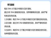 1.3 DNA的复制 课件+教案+素材