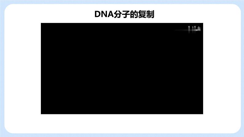 1.3 DNA的复制 课件+教案+素材03