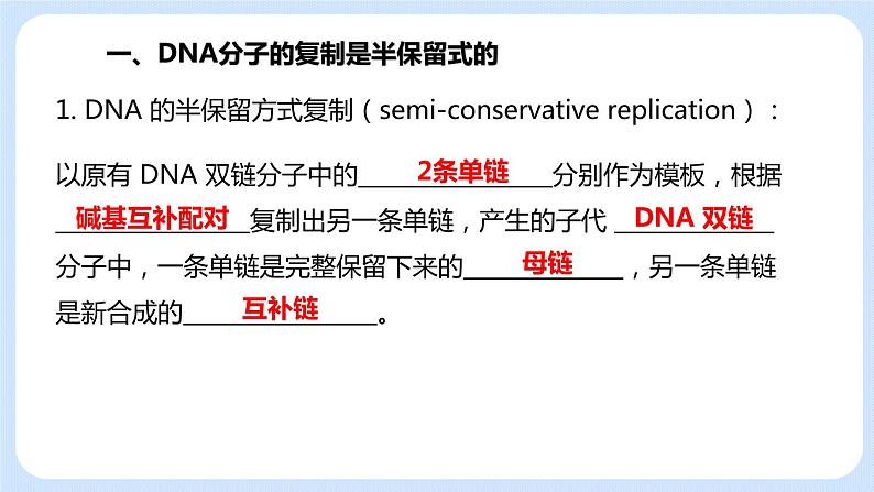 1.3 DNA的复制 课件+教案+素材05