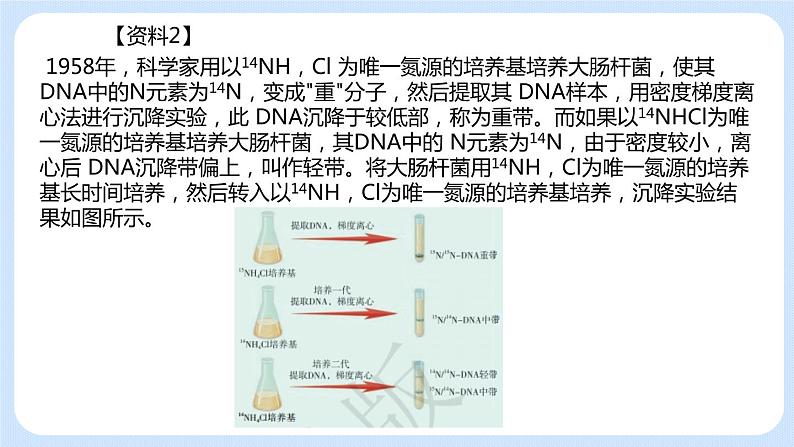 1.3 DNA的复制 课件+教案+素材07