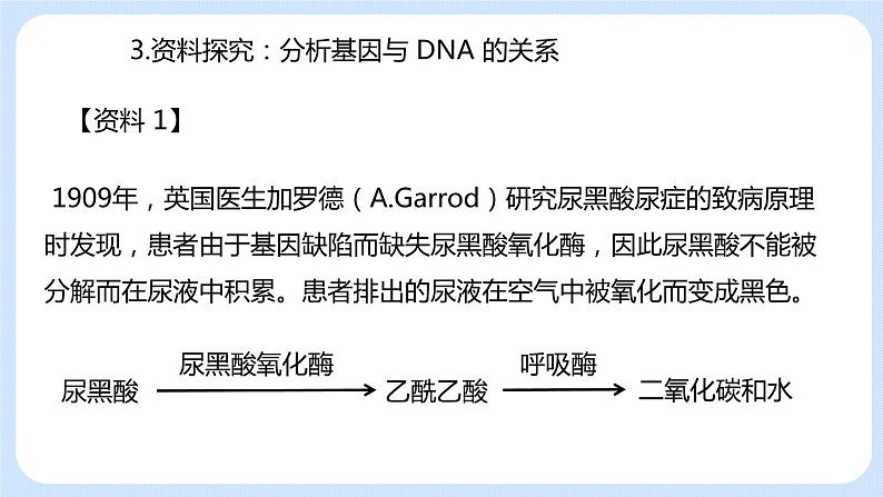 1.4 遗传信息的表达 课件+教案+素材06