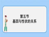 1.5 基因与性状的关系 课件+教案+素材