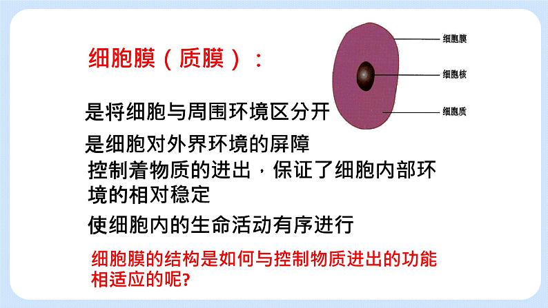 2.2细胞膜控制细胞与周围环境的联系 课件+学案02