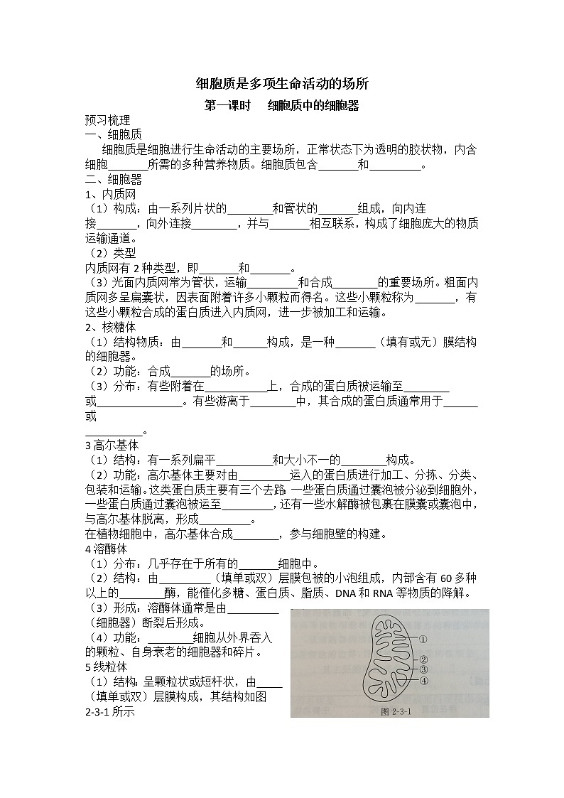2.3细胞质是多项生命活动的场所细胞质中的细胞器 课件+学案01