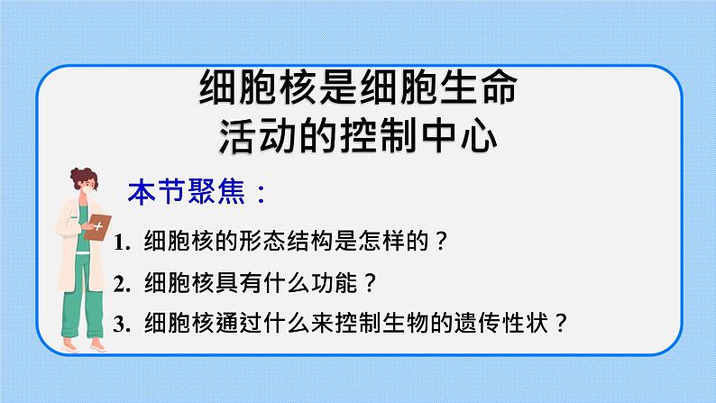 2.4细胞核是细胞生命活动的控制中心 课件+学案02