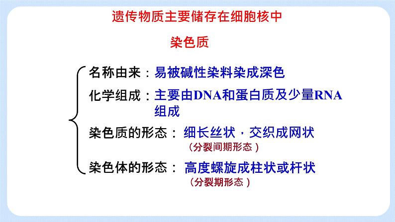 2.4细胞核是细胞生命活动的控制中心 课件+学案08