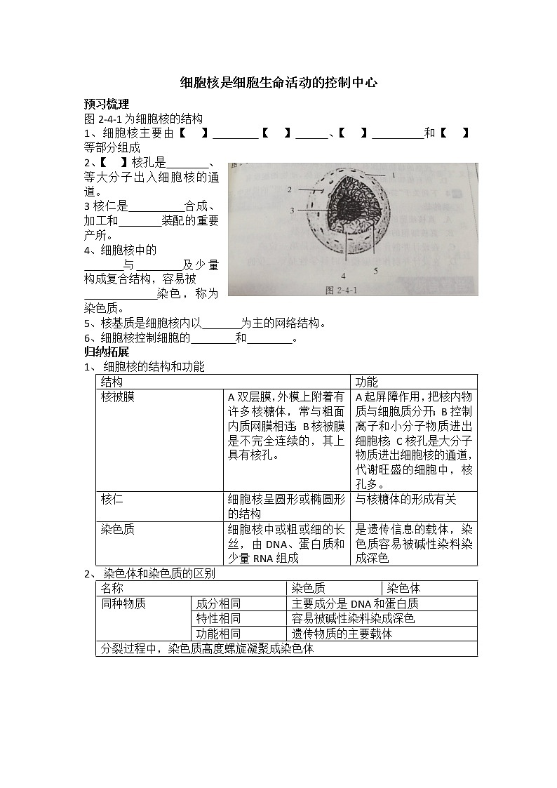 2.4细胞核是细胞生命活动的控制中心 课件+学案01