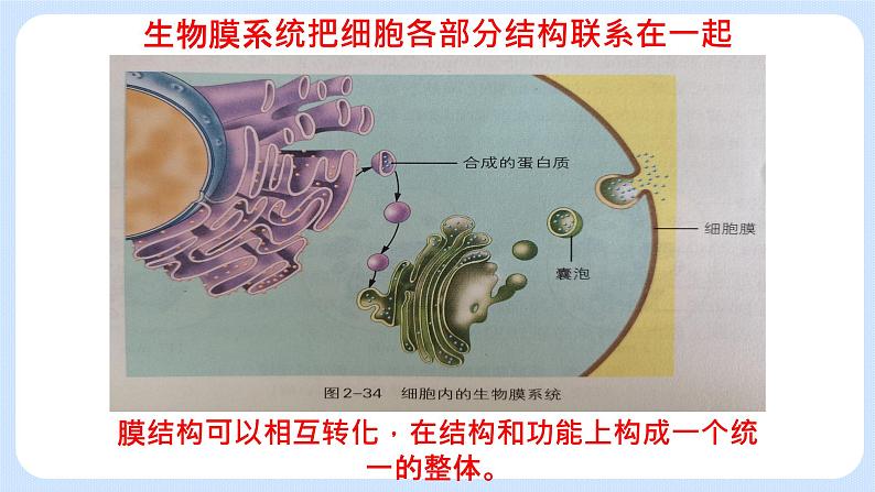 2.5细胞在结构和功能上是一个统一整体 课件+学案03