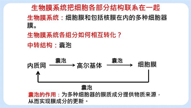 2.5细胞在结构和功能上是一个统一整体 课件+学案04