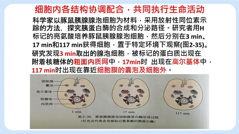 2.5细胞在结构和功能上是一个统一整体 课件+学案06