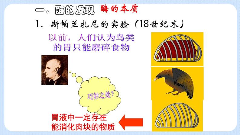 3.2酶是生物催化剂 课件+学案04