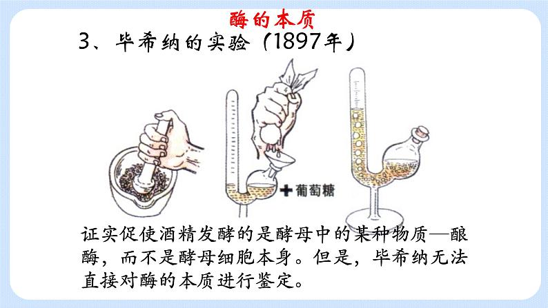 3.2酶是生物催化剂 课件+学案07