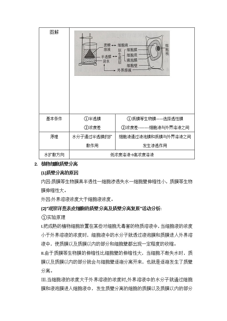 3.3+物质通过多种方式出入细胞+第1课时+被动转运+学案浙科版（2019）高中生物必修一第2页