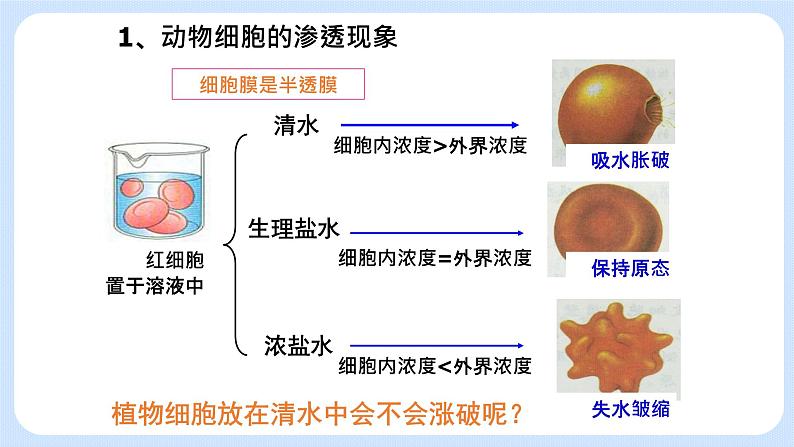 物质通过多种方式出入细胞第8页