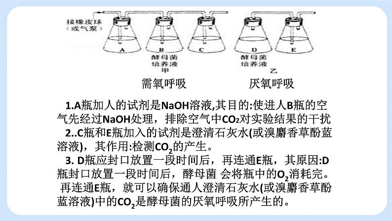 3.4细胞呼吸为细胞生活提供能量 课件+学案07