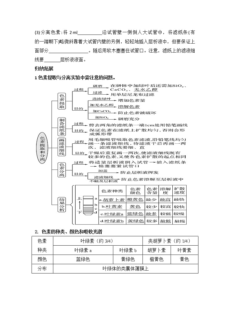 3.5光合作用将光能转化为化学能课件浙科版（2019）高中生物必修一 课件+学案02