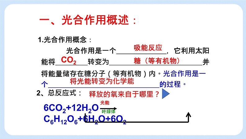 3.5光合作用将光能转化为化学能课件浙科版（2019）高中生物必修一 课件+学案04