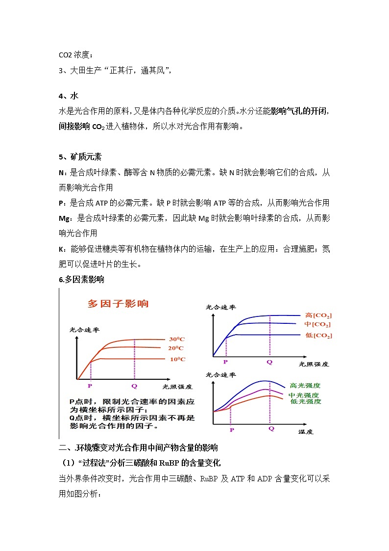 3.5光合作用将光能转化为化学能课件浙科版（2019）高中生物必修一 课件+学案03