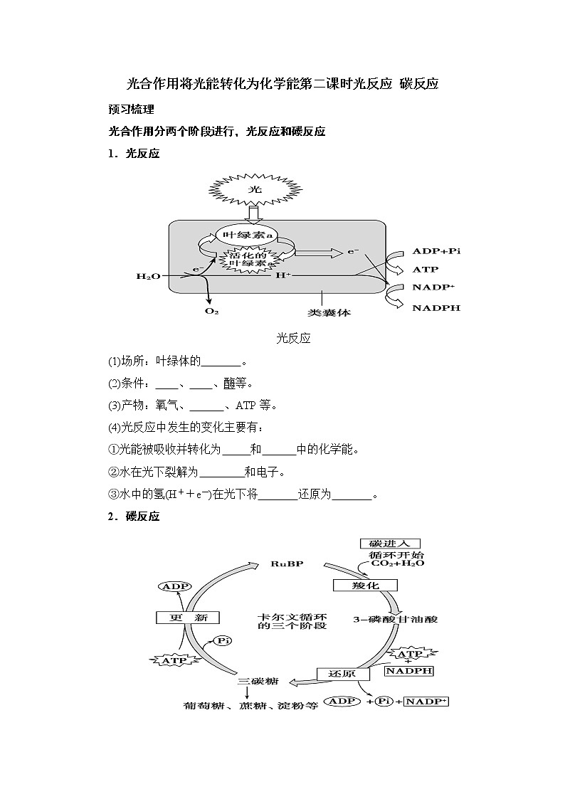 3.5光合作用将光能转化为化学能课件浙科版（2019）高中生物必修一 课件+学案01