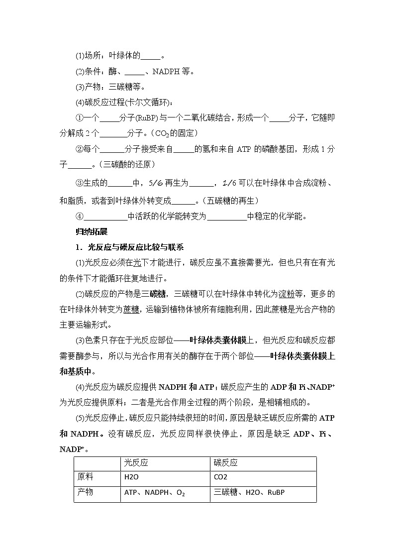 3.5光合作用将光能转化为化学能课件浙科版（2019）高中生物必修一 课件+学案02