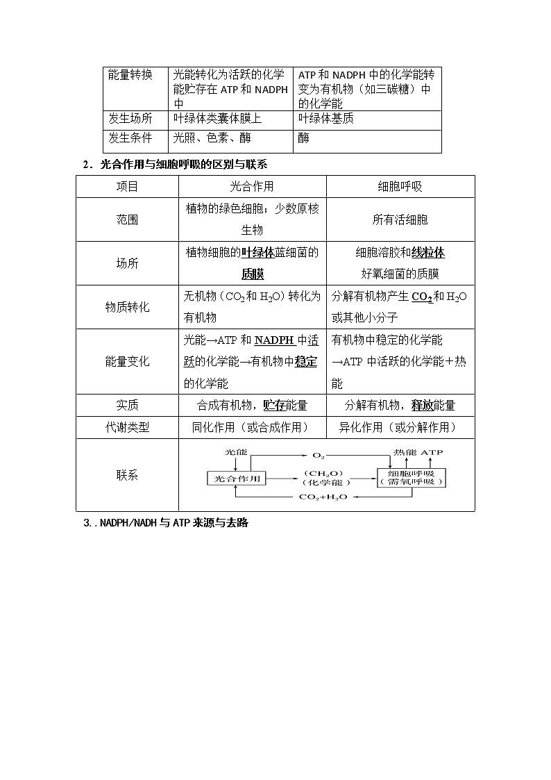 3.5光合作用将光能转化为化学能课件浙科版（2019）高中生物必修一 课件+学案03
