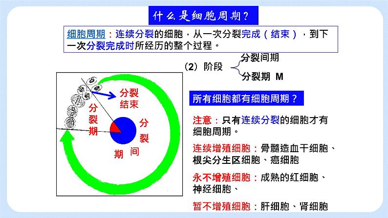 细胞通过分裂增殖 第一课时第7页