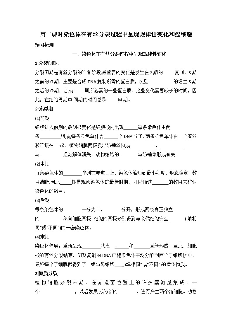 4.1+细胞通过分裂增殖+第二课时+染色体在有丝分裂过程中呈现规律性变化和癌细胞+学案浙科版（2019）高中生物必修一第1页