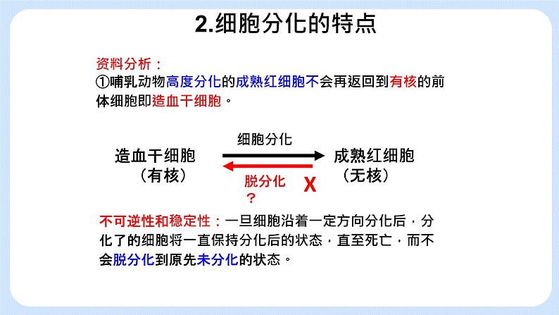 4.2细胞通过分化产生不同类型的细胞课件浙科版（2019）高中生物必修一 课件+学案06