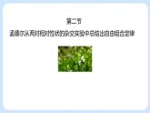 第一章  第二节 孟德尔从两对相对性状的杂交实验中总结出自由组合定律高一生物课件+练习（原卷+解析卷）（浙科版2019必修2）