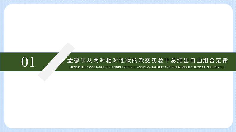 第一章 第二节 孟德尔从两对相对性状的杂交实验中总结出自由组合定律（课件）-【名校同步】2021-2022学年高一生物精品课件（浙科版2019必修2）第5页