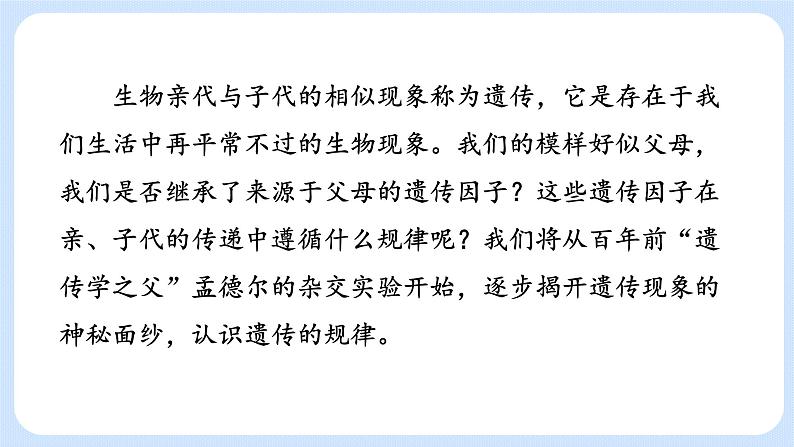 第一章 第一节 孟德尔从一对相对性状的杂交实验中总结出分离定律高一生物课件+练习（原卷+解析卷）（浙科版2019必修2）02