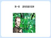 第一章 第一节 孟德尔从一对相对性状的杂交实验中总结出分离定律高一生物课件+练习（原卷+解析卷）（浙科版2019必修2）