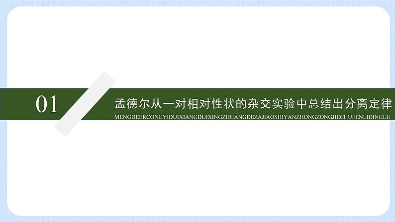 第一章 第一节 孟德尔从一对相对性状的杂交实验中总结出分离定律高一生物课件+练习（原卷+解析卷）（浙科版2019必修2）06