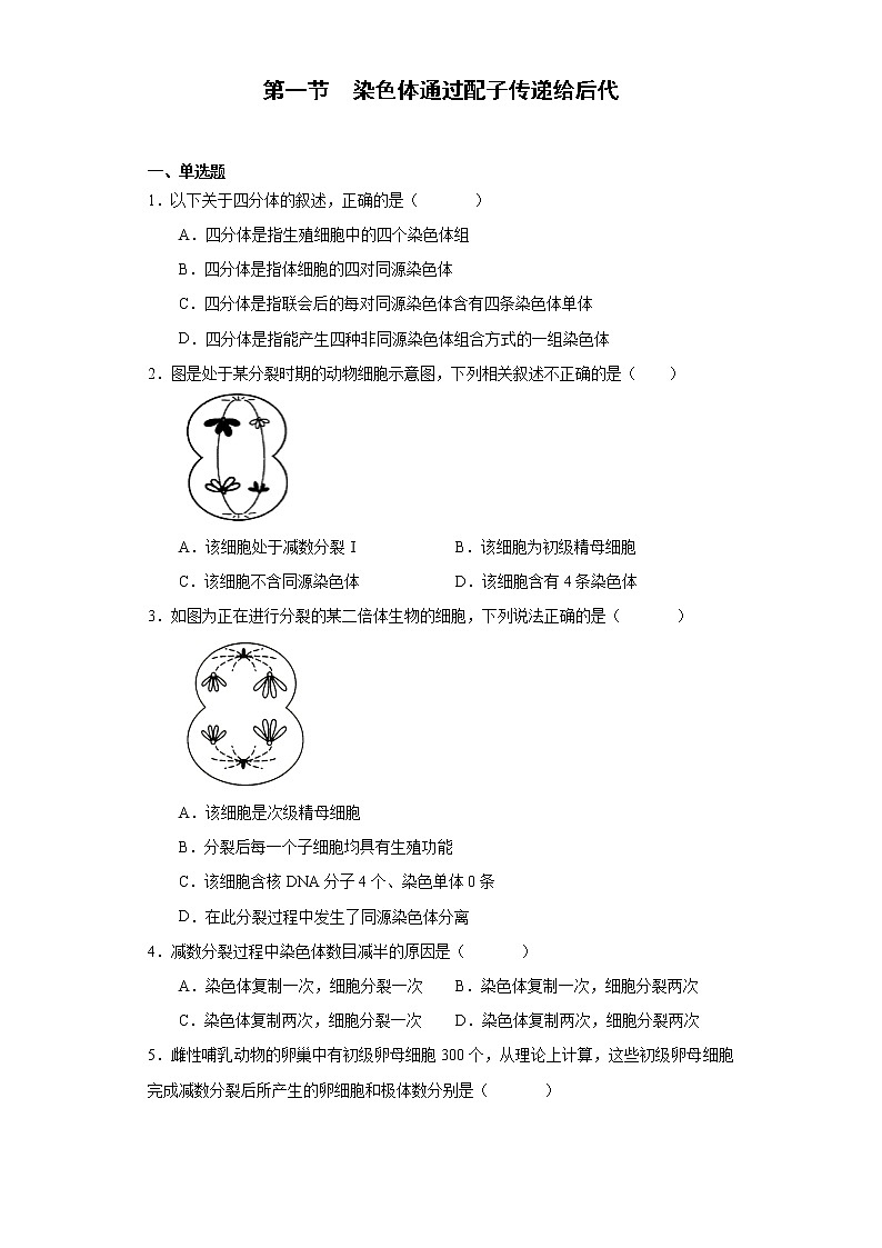 第二章 第一节 染色体通过配子传递给后代高一生物课件+练习（原卷+解析卷）（浙科版2019必修2）01