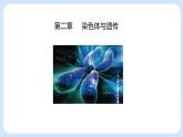 第二章 第一节 染色体通过配子传递给后代高一生物课件+练习（原卷+解析卷）（浙科版2019必修2）