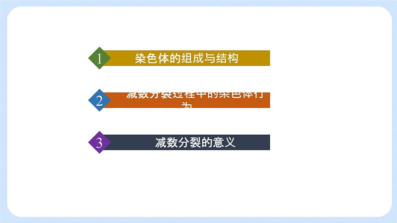 第二章 第一节 染色体通过配子传递给后代高一生物课件+练习（原卷+解析卷）（浙科版2019必修2）05