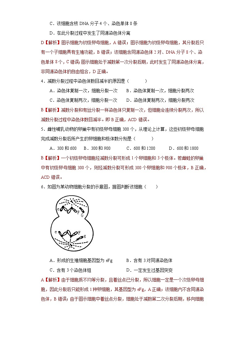 第二章 第一节 染色体通过配子传递给后代高一生物课件+练习（原卷+解析卷）（浙科版2019必修2）02