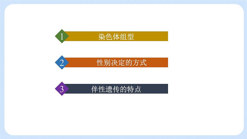 第二章 第三节 性染色体上基因的传递和性别相关联（课件）-【名校同步】2021-2022学年高一生物精品课件（浙科版2019必修2）第4页