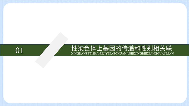 第二章 第三节 性染色体上基因的传递和性别相关联（课件）-【名校同步】2021-2022学年高一生物精品课件（浙科版2019必修2）第5页